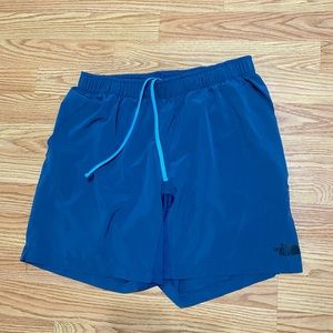 The north face medium shorts